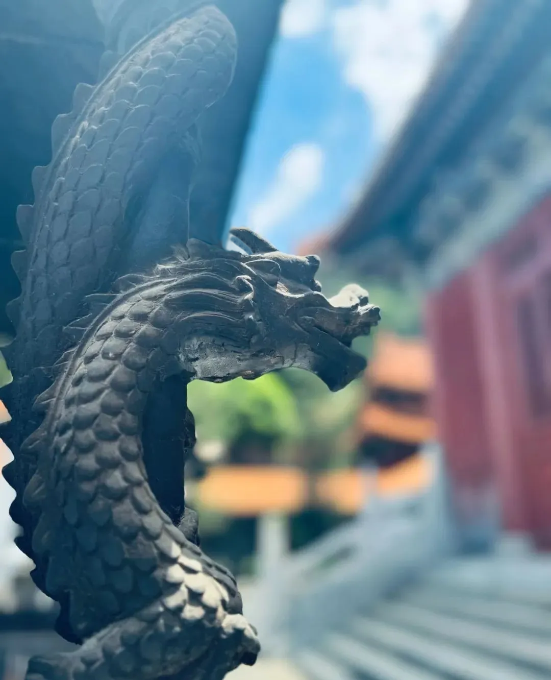 五月十五~別怕熱!多出門走走可以改善運勢!